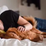 5 tips til at få den bedste eftermiddagslur