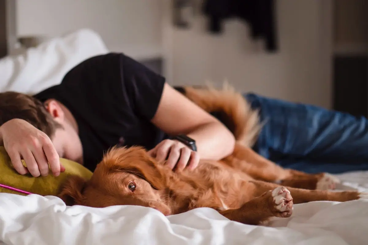 5 tips til at få den bedste eftermiddagslur